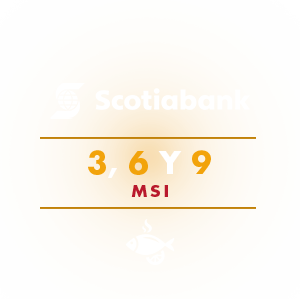 Bancos scotiabank_EMJF 2023