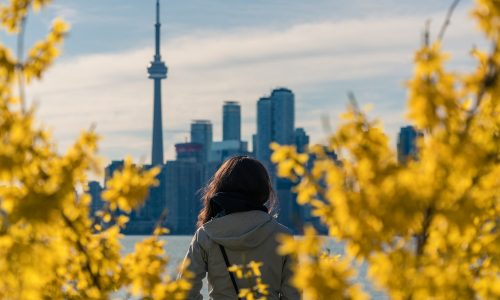 Girl,Looking,At,Toronto,Skyline.view,From,Toronto,Islands.,Framed,With